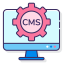 CMS Development